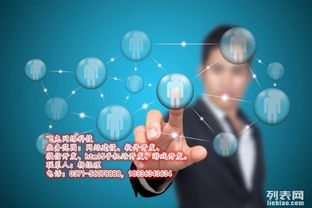 飛兔網(wǎng)絡(luò)科技 鄭州網(wǎng)站建設(shè)、APP開(kāi)發(fā)與游戲開(kāi)發(fā)的技術(shù)領(lǐng)航者